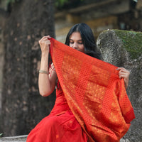 Kaaya Red | Handwoven Cotton Saree with GOLDEN ZARI WORK