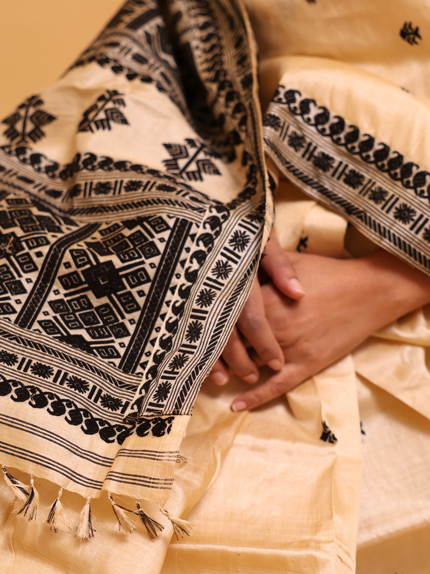 Tussar Silk With Black Thread Work
