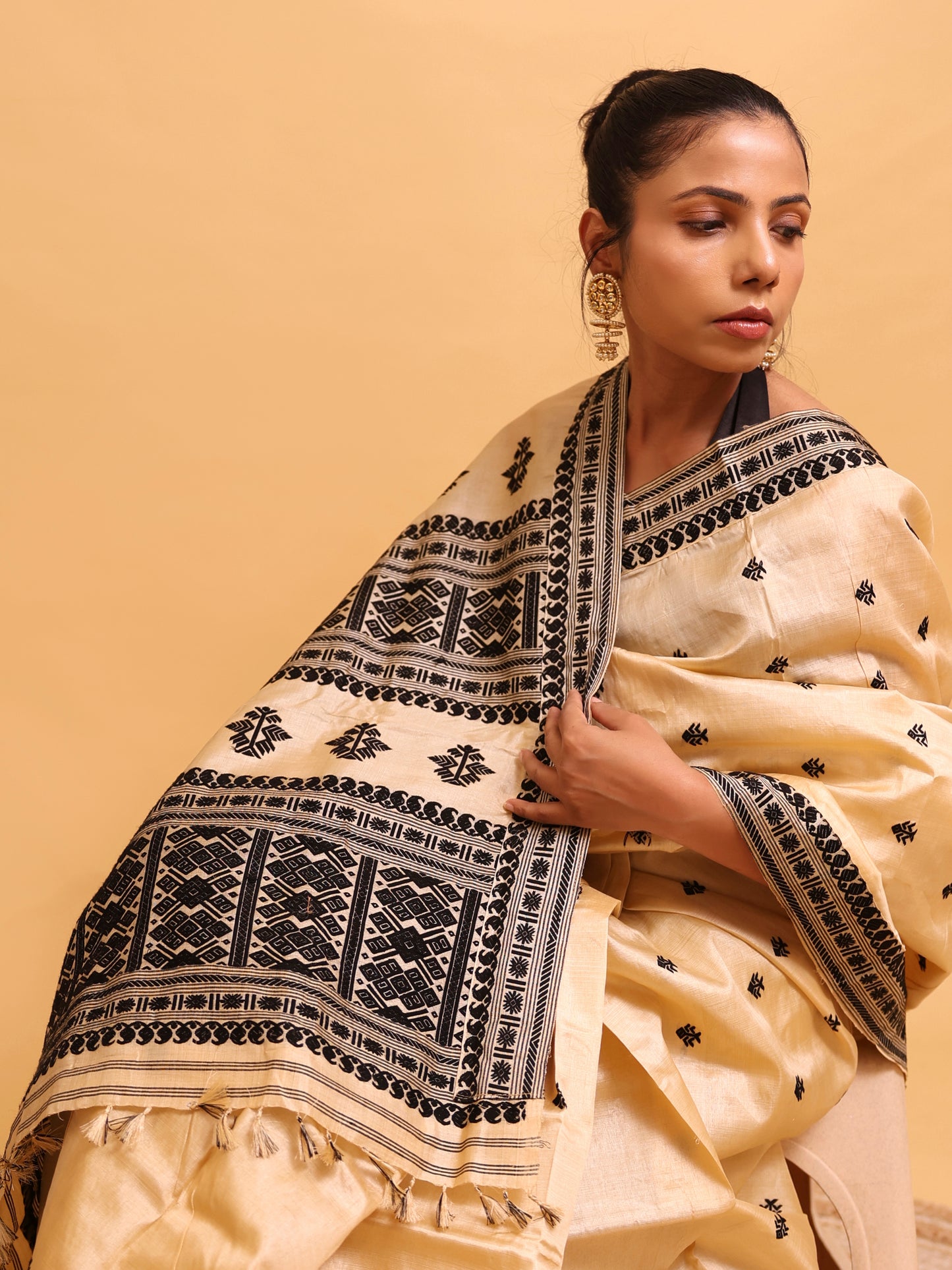 Tussar Silk With Black Thread Work